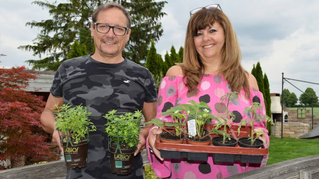 ab-ins-beet-ingo-und-marion - Ab ins Beet, Ingo und Marion: Die Entstehung einer Gartensho Ab Ins Beet Ingo Und Marion 1779459942807 1024x576